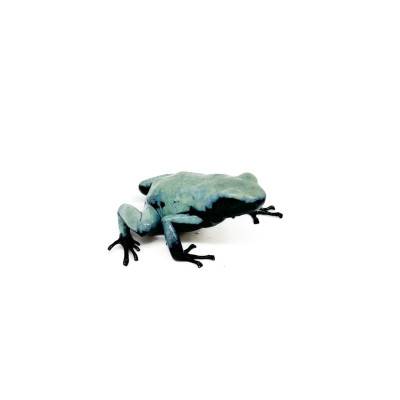Adelphobates galactonotus "Blue" - Dendrobates galactonotus