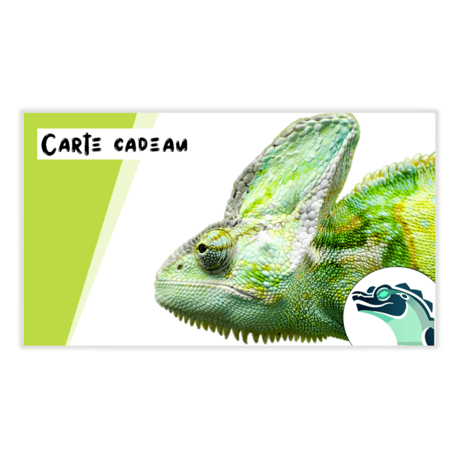 Chèque cadeau à offrir !