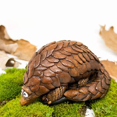 Pangolin