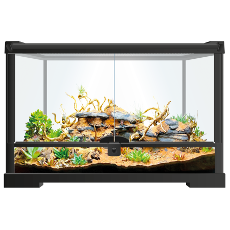 Terrarium Repto terra