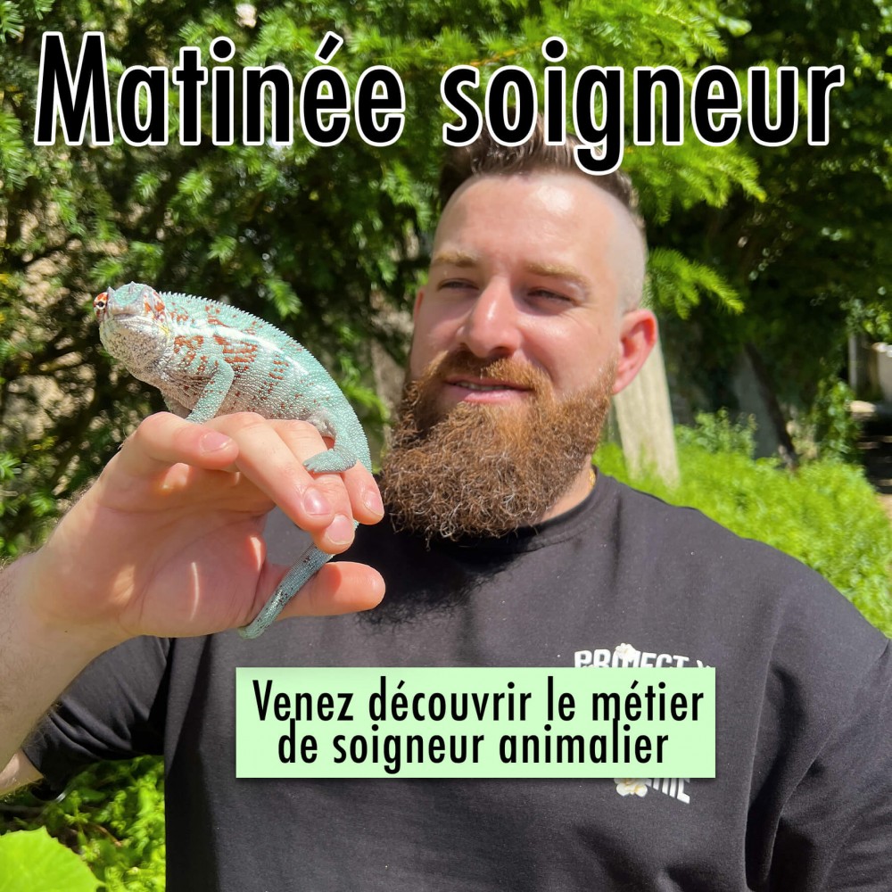 Matinée soigneur VIP - ATELIER A BEBESAURUS Matinée soigneur VIP - ATELIER A BEBESAURUS