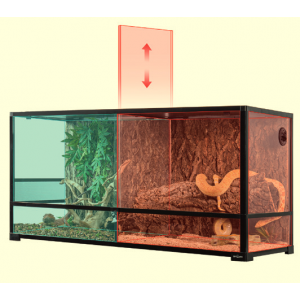Terrarium démontable...