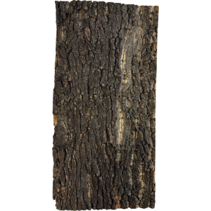 Plaque de fond en liège