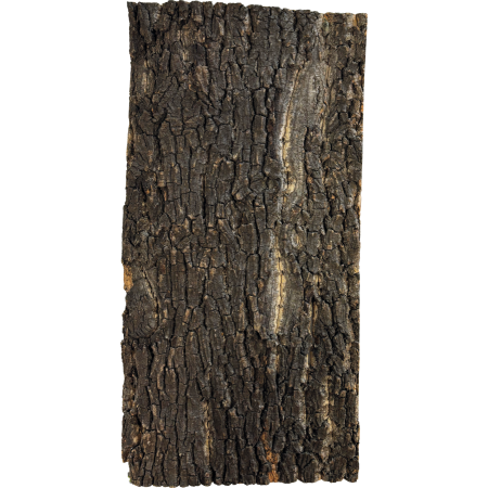 Plaque de fond en liège