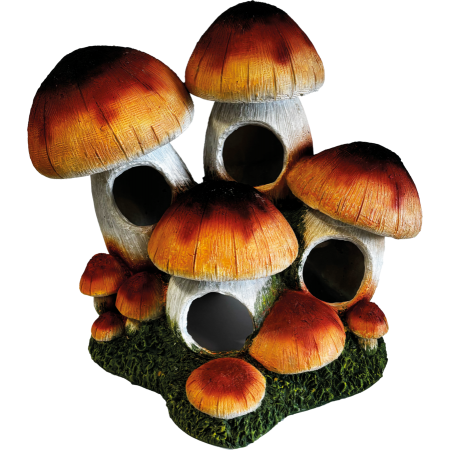 Décoration Mushroom Hotel