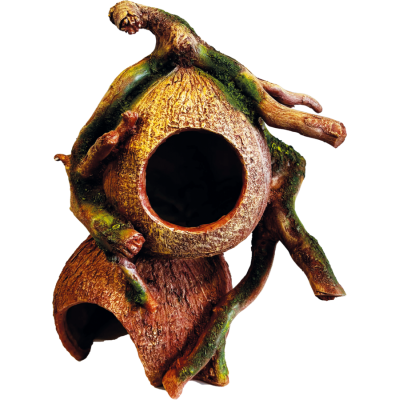 Décoration Coconut hides