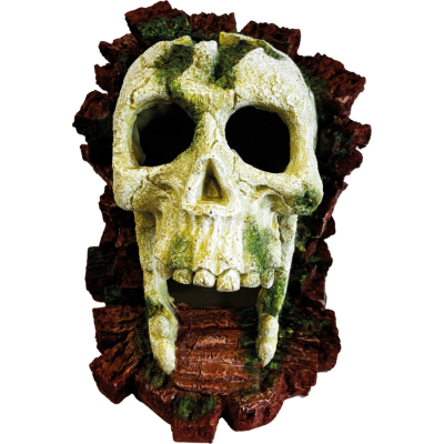 Décoration Gorilla Skull