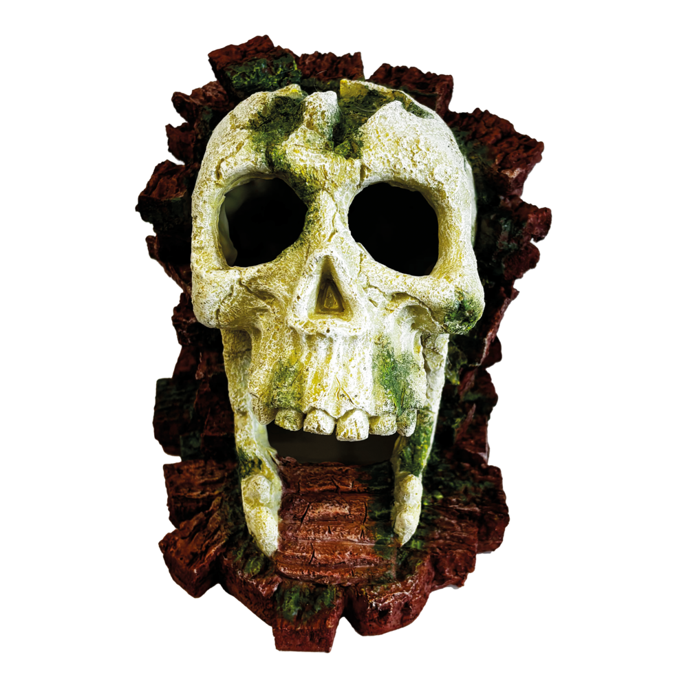 Décoration Gorilla Skull Décoration Gorilla Skull