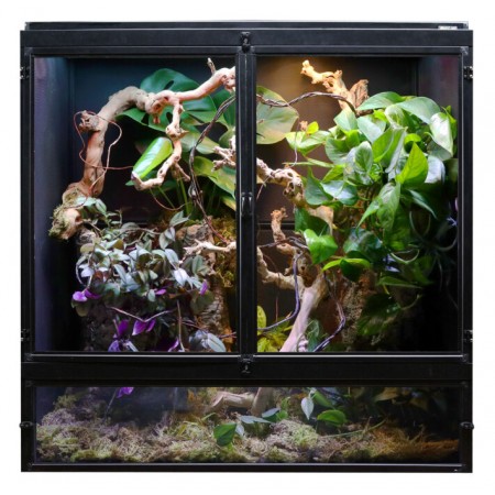 Flexarium pour Caméléon Deluxe, double porte acrylique Zoomed