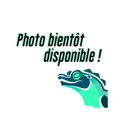 Anolis carolinensis NC france - Anole vert