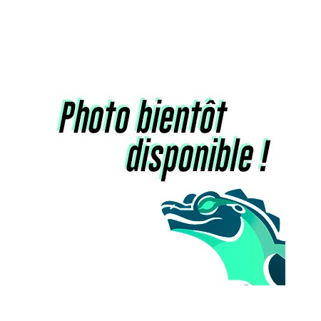 Anolis carolinensis NC france - Anole vert