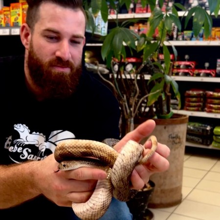 Atelier manipulation de serpents ENFANT (-13 ans) - VIP