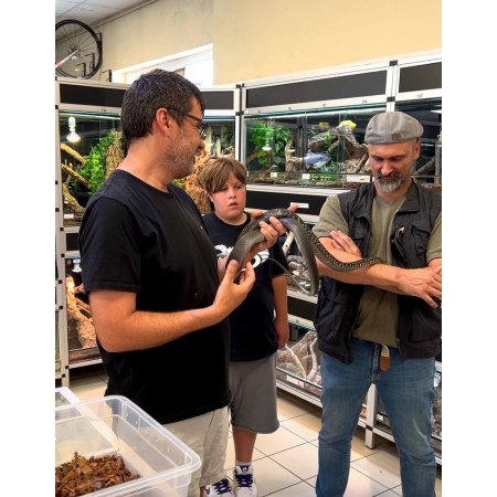 Atelier manipulation de serpents ENFANT (-13 ans) - VIP