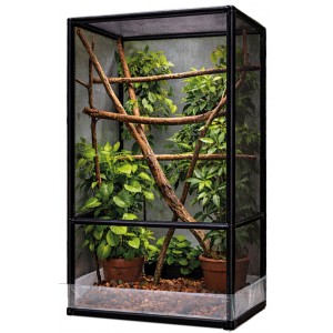 Terrarium d'extérieur avec...