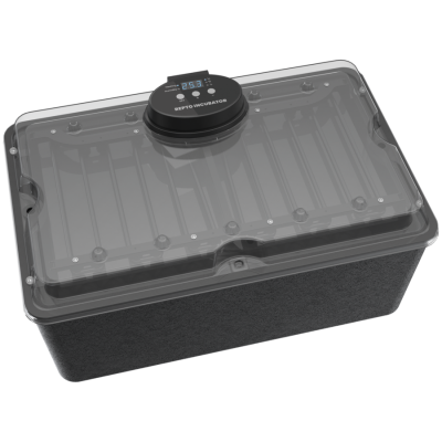 Incubateur avec hygrostat et thermostat pour tortue, serpent et lézard- Repto