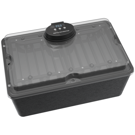 Incubateur avec hygrostat et thermostat pour tortue, serpent et lézard- Repto