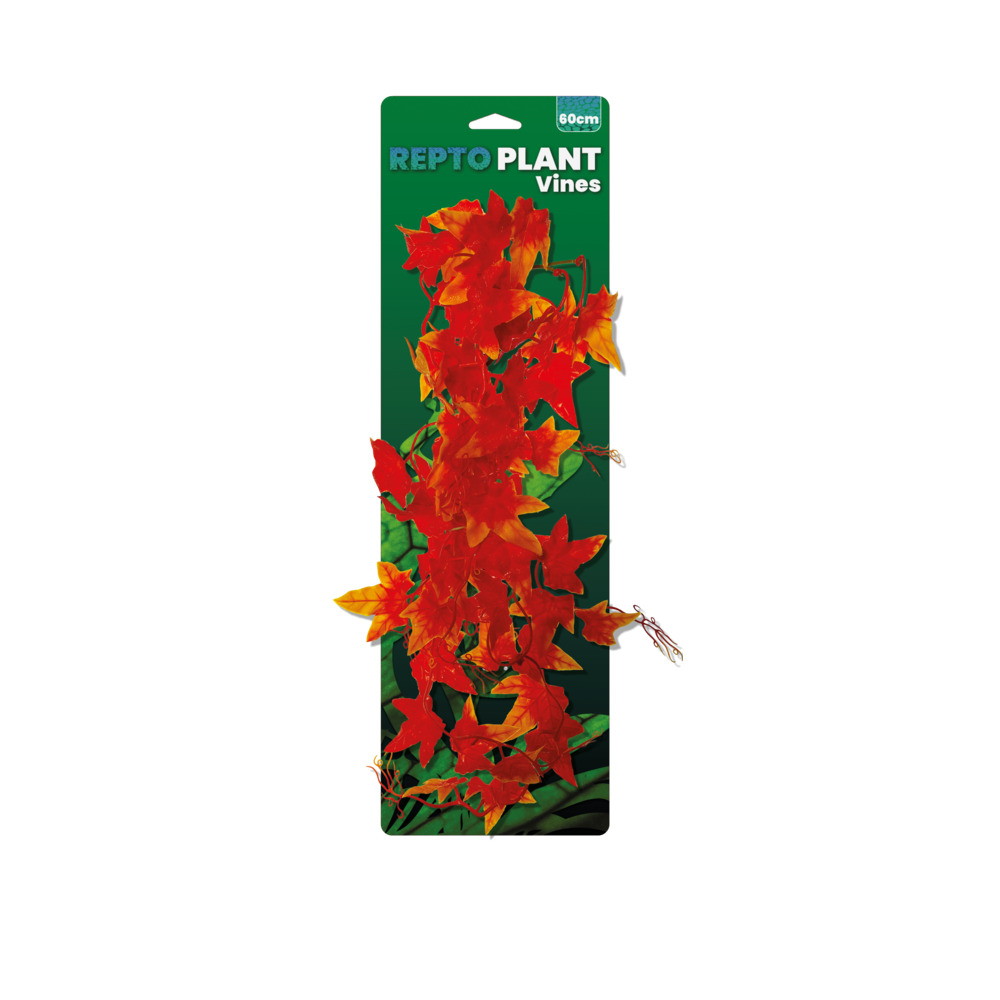 Repto plant vines orange hedera 60cm