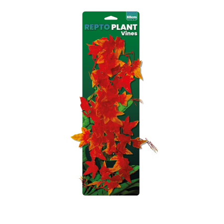 Repto plant vines orange hedera 60cm
