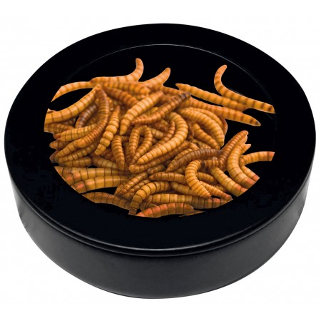 Coupelle à vers avec rebords intérieurs - Repto