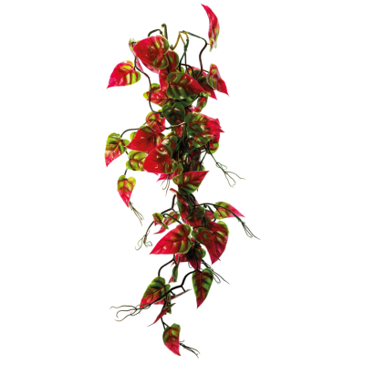 Repto Plant Vines  Syngonium 60 cm