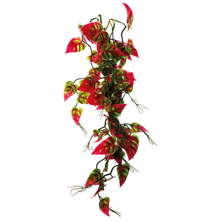 Repto Plant Vines  Syngonium 60 cm