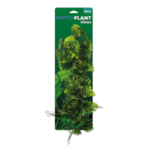 Repto plant Vines Monstera...