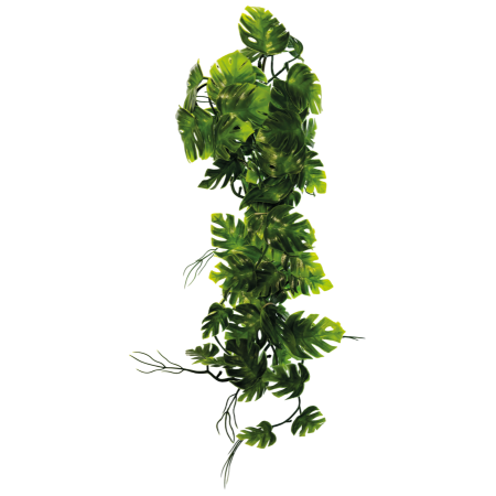 Repto plant Vines Monstera 60 cm
