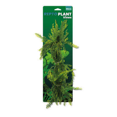 Repto Plant Asparagus 60 cm