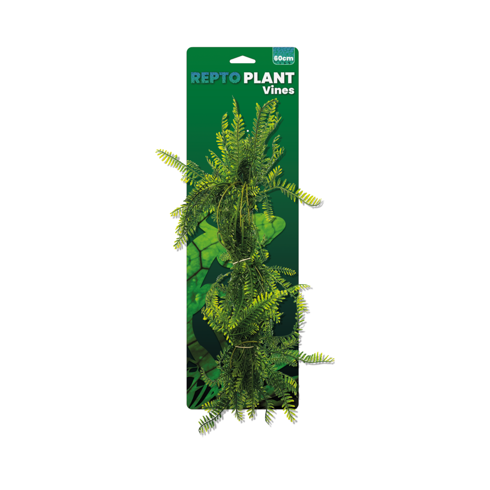 Repto Plant Asparagus 60 cm