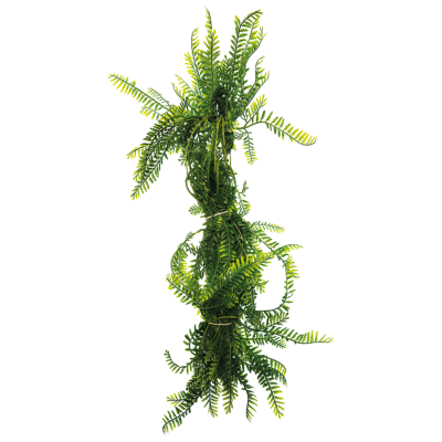 Repto Plant Asparagus 60 cm