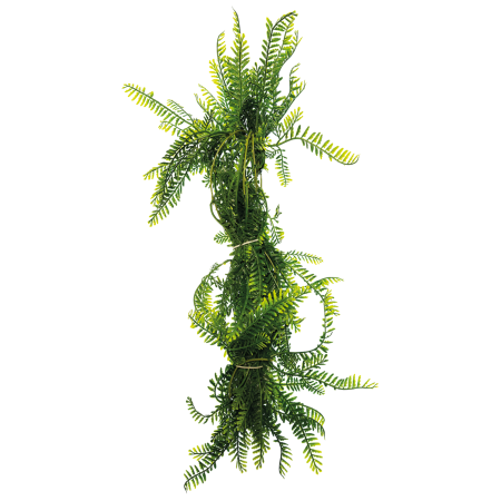 Repto Plant Asparagus 60 cm