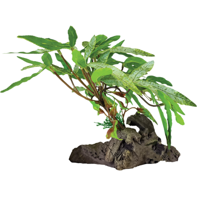 Plante avec socle à 3 feuilles pointues - Repto