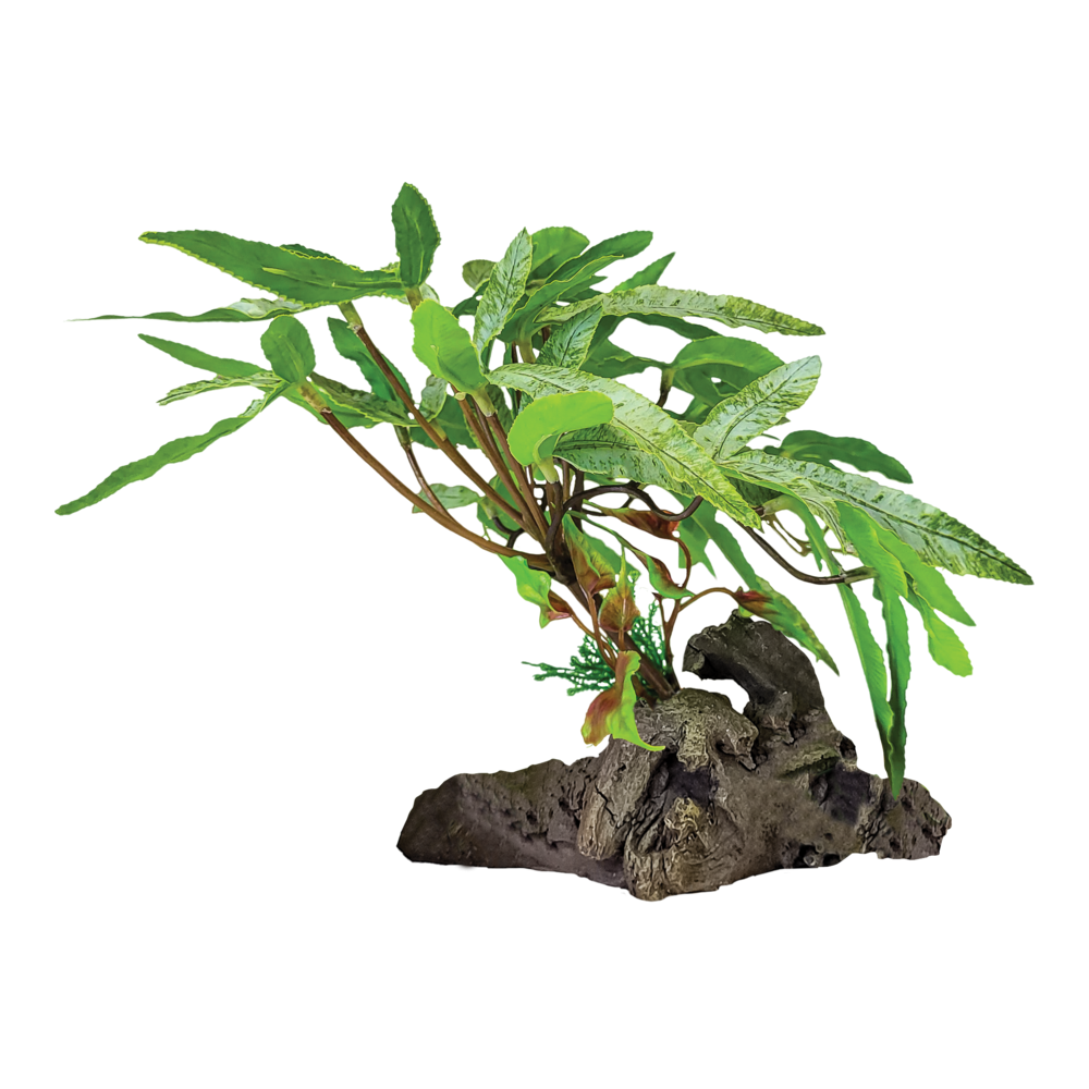 Plante avec socle à 3 feuilles pointues - Repto