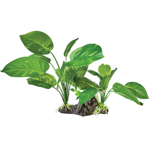 Plante tropicale réplique...