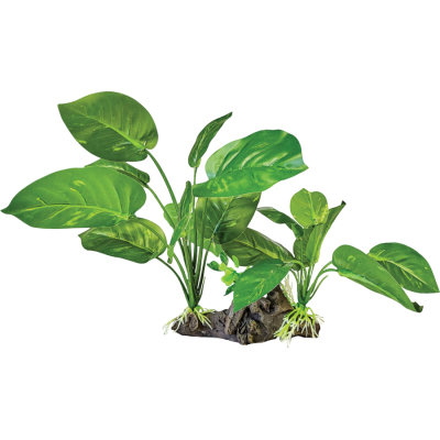 Plante tropicale réplique Philodendron - Repto