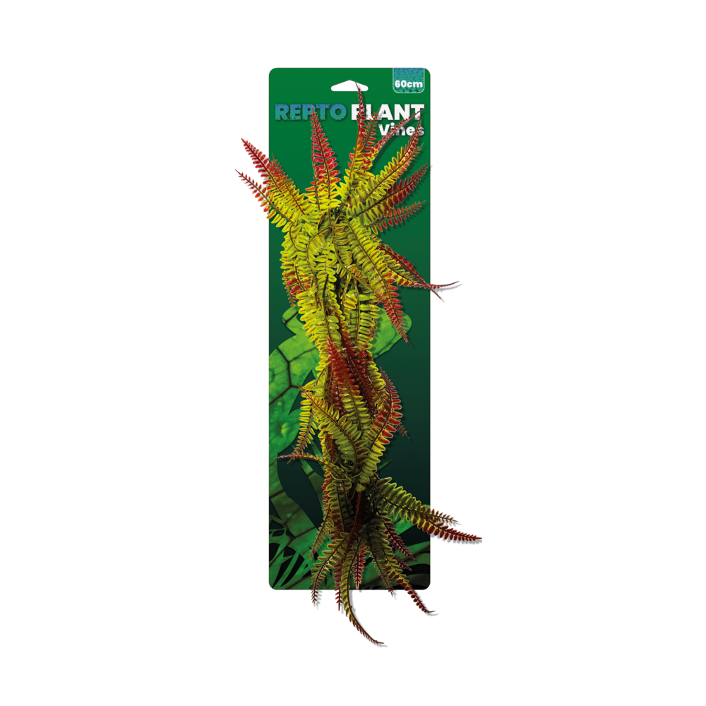 Repto Plant Vines Fougère Rouge/verte 60 cm