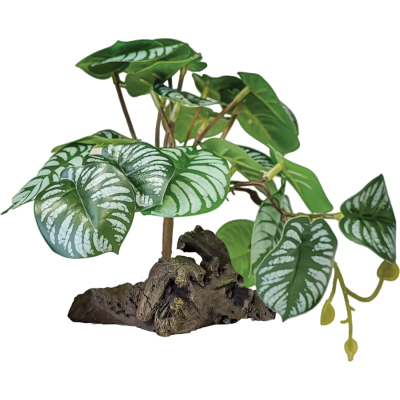 Plante à poser réplique Begonia - Repto