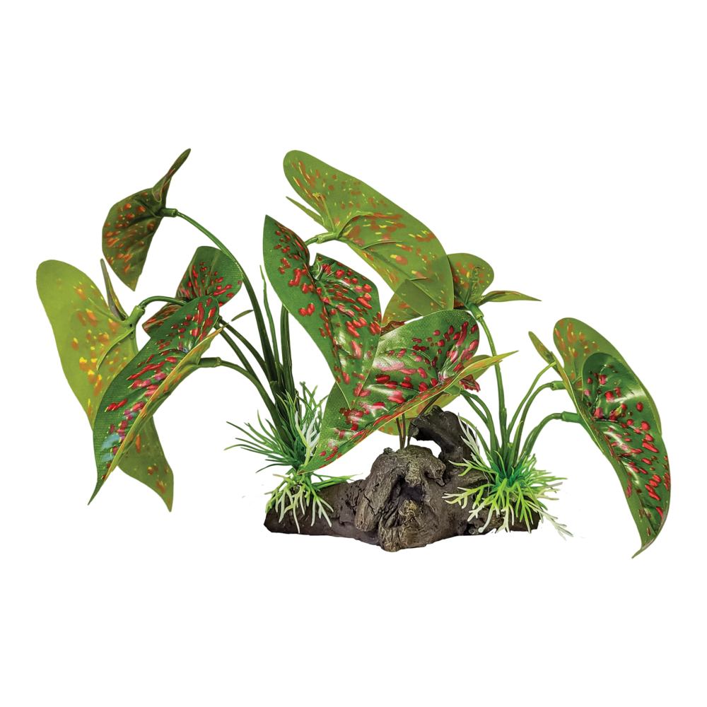 Plante à poser réplique oreilles d'éléphant - Repto