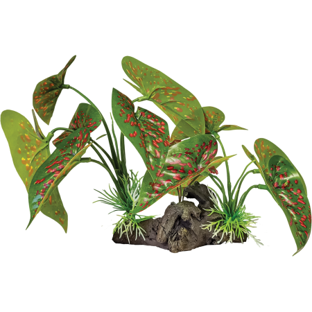 Plante à poser réplique oreilles d'éléphant - Repto