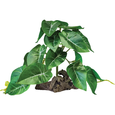 Plante à poser réplique Alocasia - Repto