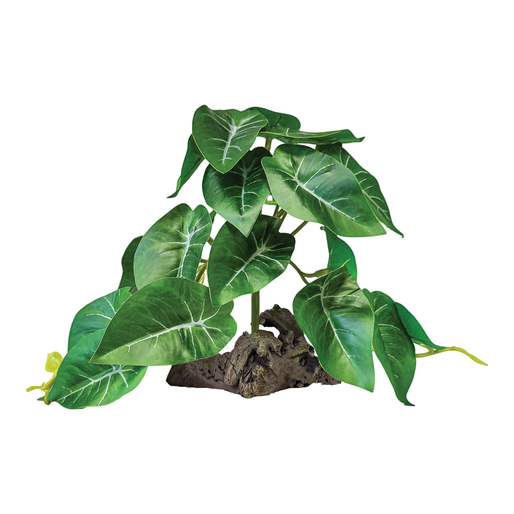 Plante à poser réplique Alocasia - Repto