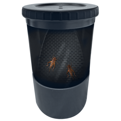 Distributeur d'insectes Repto Insect Buffet