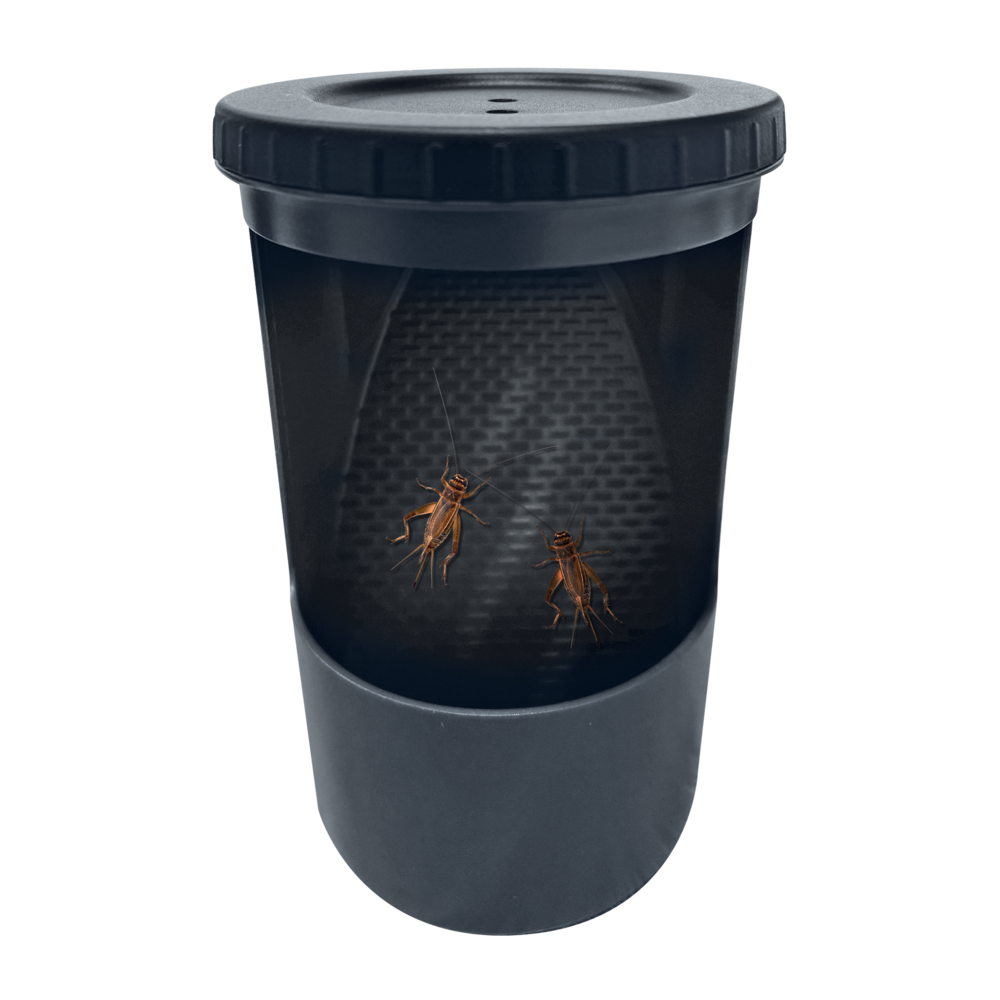 Distributeur d'insectes Repto Insect Buffet