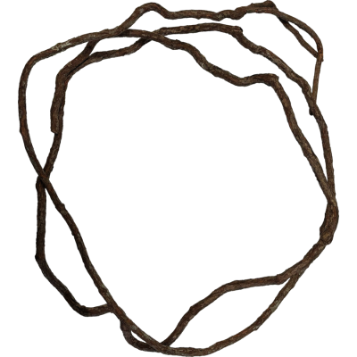 Liane fine naturelle 3m "Tree Vine" - Repto