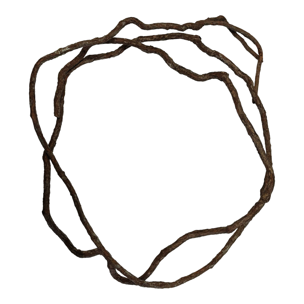 Liane fine naturelle 3m "Tree Vine" - Repto