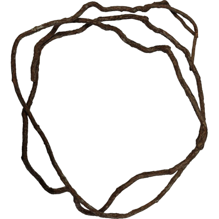 Liane fine naturelle 3m "Tree Vine" - Repto