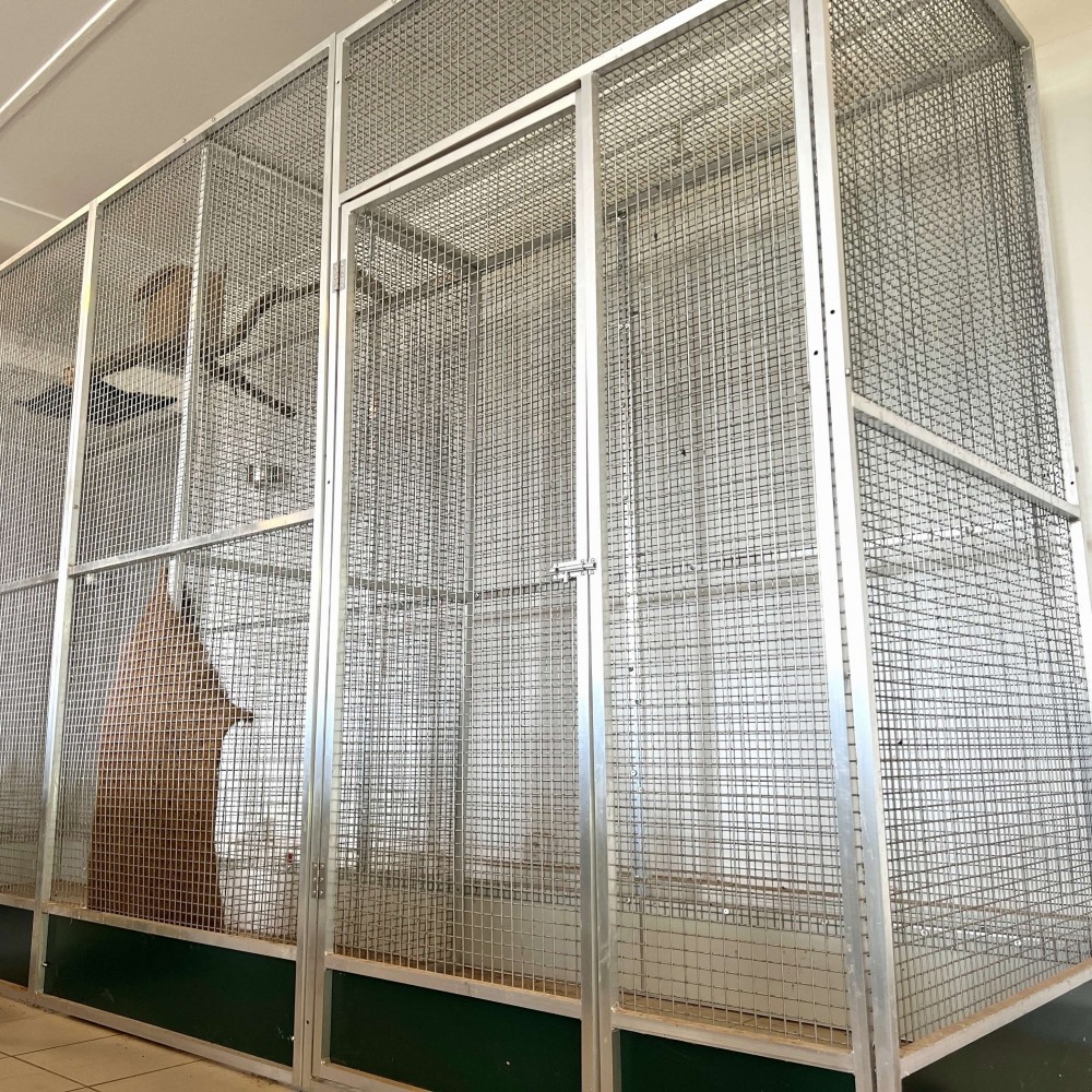 Volière pour reptiles ou oiseaux OCCASION - 3x1x2m - Panneaux aluminium
