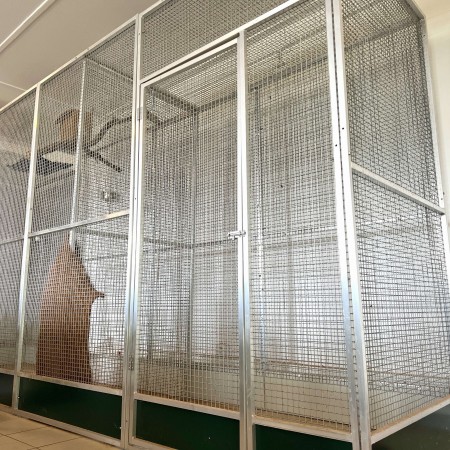 Volière pour reptiles ou oiseaux OCCASION - 3x1x2m - Panneaux aluminium