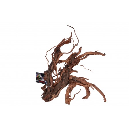 CURLIVIGNE