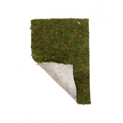 Hobby - Terrano Moos - 20x30 cm - 2 pcs